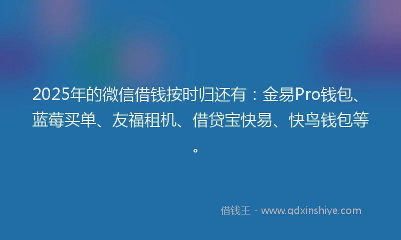 2025年的微信借钱按时归还有：金易Pro钱包、蓝莓买单、友福租机、借贷宝快易、快鸟钱包等。