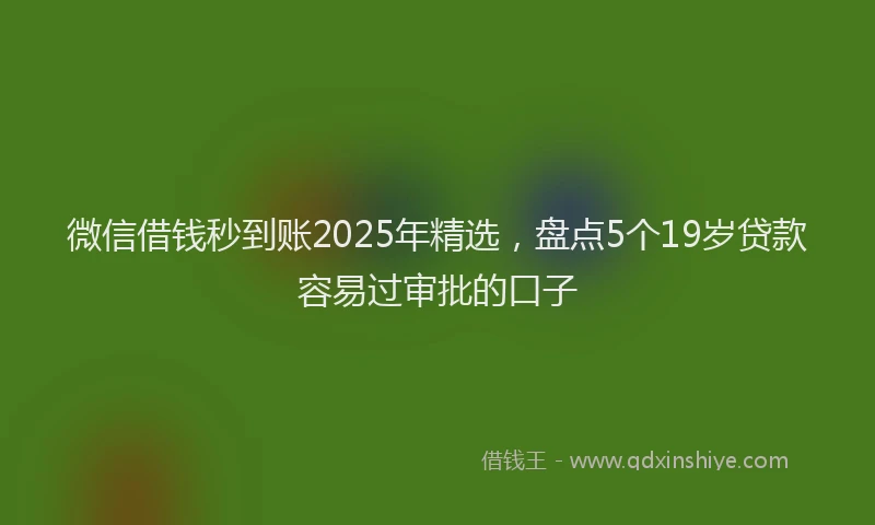 微信借钱秒到账2025年精选，盘点5个19岁贷款容易过审批的口子