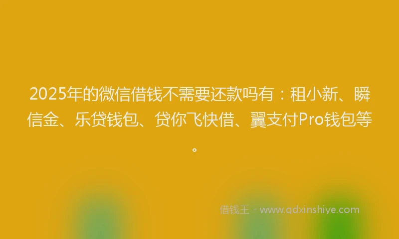 2025年的微信借钱不需要还款吗有：租小新、瞬信金、乐贷钱包、贷你飞快借、翼支付Pro钱包等。