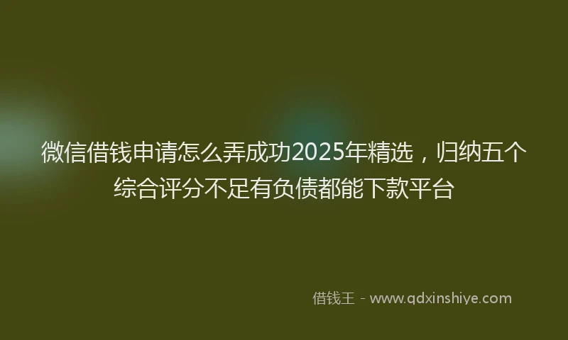 微信借钱申请怎么弄成功2025年精选，归纳五个综合评分不足有负债都能下款平台