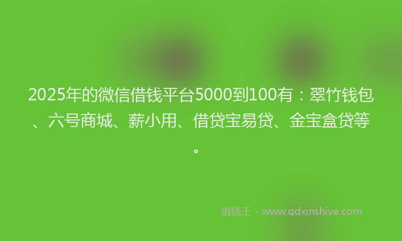 2025年的微信借钱平台5000到100有：翠竹钱包、六号商城、薪小用、借贷宝易贷、金宝盒贷等。