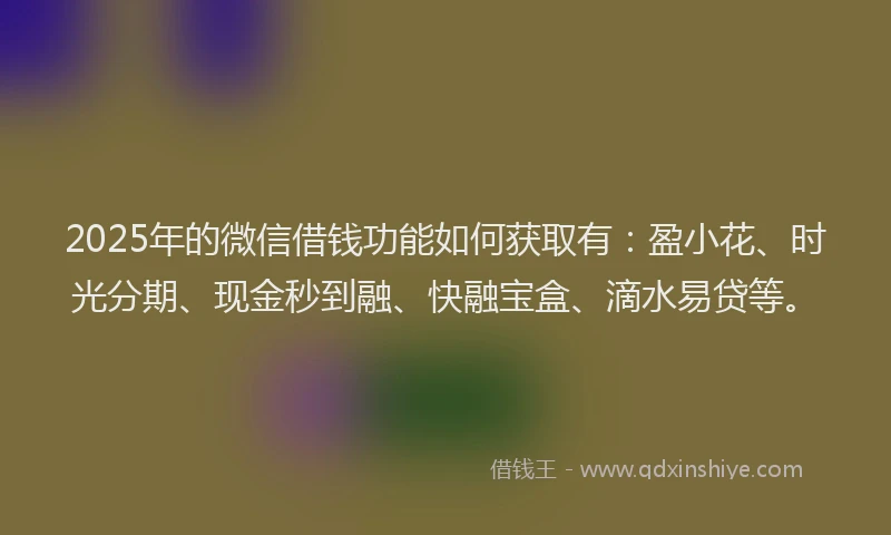2025年的微信借钱功能如何获取有：盈小花、时光分期、现金秒到融、快融宝盒、滴水易贷等。