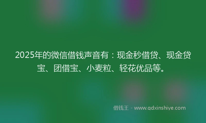 2025年的微信借钱声音有：现金秒借贷、现金贷宝、团借宝、小麦粒、轻花优品等。