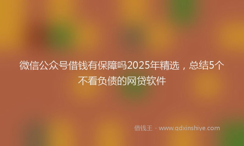 微信公众号借钱有保障吗2025年精选，总结5个不看负债的网贷软件