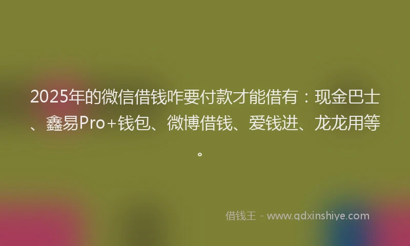 2025年的微信借钱咋要付款才能借有：现金巴士、鑫易Pro+钱包、微博借钱、爱钱进、龙龙用等。