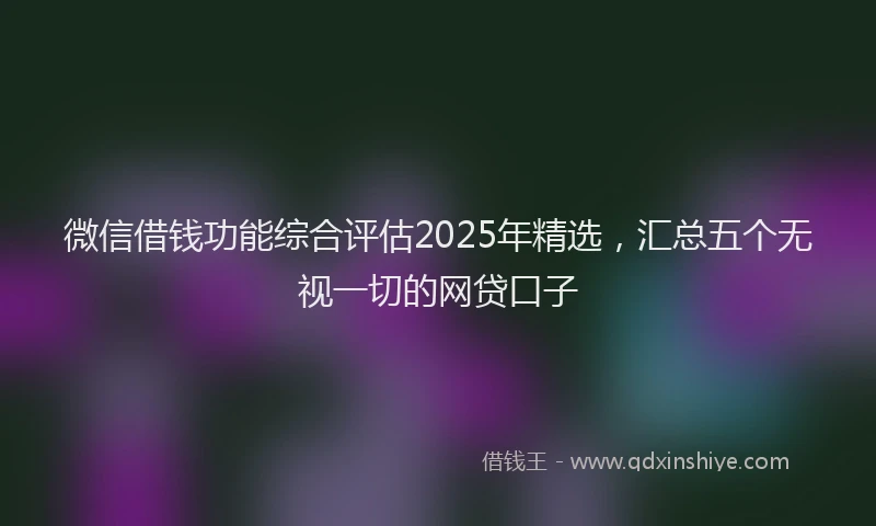微信借钱功能综合评估2025年精选，汇总五个无视一切的网贷口子
