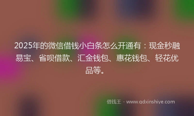 2025年的微信借钱小白条怎么开通有：现金秒融易宝、省呗借款、汇金钱包、惠花钱包、轻花优品等。