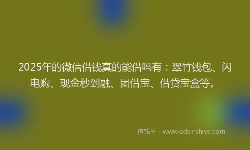 2025年的微信借钱真的能借吗有：翠竹钱包、闪电购、现金秒到融、团借宝、借贷宝盒等。