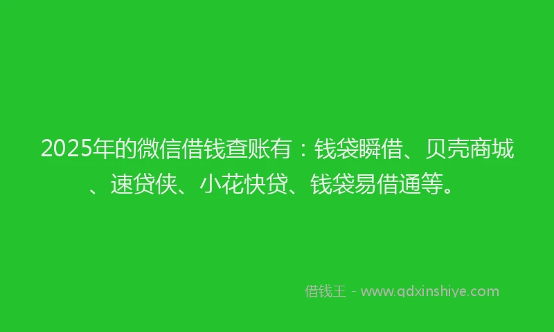2025年的微信借钱查账有：钱袋瞬借、贝壳商城、速贷侠、小花快贷、钱袋易借通等。