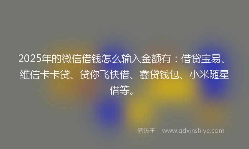 2025年的微信借钱怎么输入金额有：借贷宝易、维信卡卡贷、贷你飞快借、鑫贷钱包、小米随星借等。
