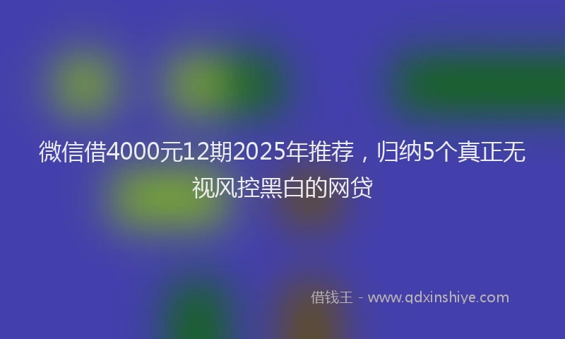 微信借4000元12期2025年推荐，归纳5个真正无视风控黑白的网贷