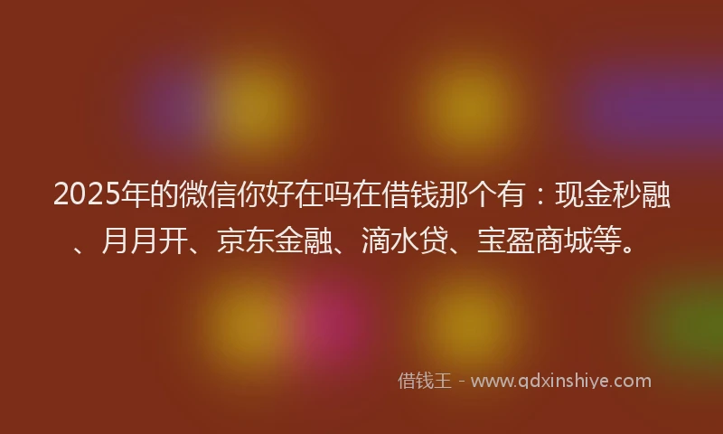 2025年的微信你好在吗在借钱那个有：现金秒融、月月开、京东金融、滴水贷、宝盈商城等。