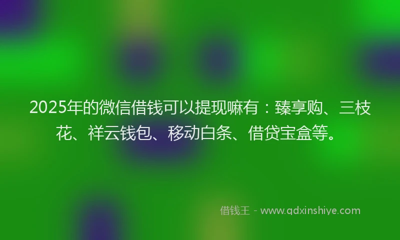 2025年的微信借钱可以提现嘛有：臻享购、三枝花、祥云钱包、移动白条、借贷宝盒等。