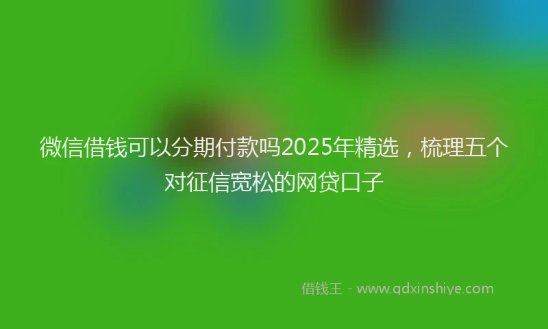 微信借钱可以分期付款吗2025年精选，梳理五个对征信宽松的网贷口子