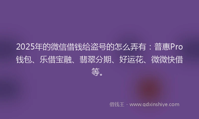 2025年的微信借钱给盗号的怎么弄有：普惠Pro钱包、乐借宝融、翡翠分期、好运花、微微快借等。