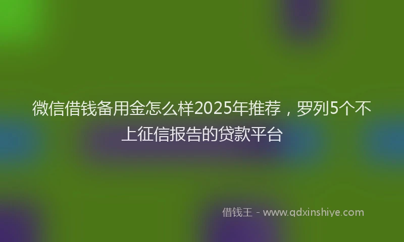 微信借钱备用金怎么样2025年推荐，罗列5个不上征信报告的贷款平台