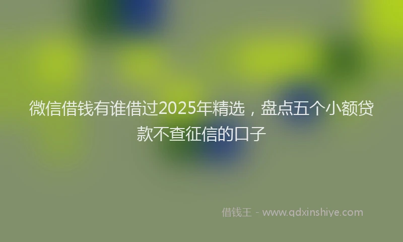 微信借钱有谁借过2025年精选，盘点五个小额贷款不查征信的口子