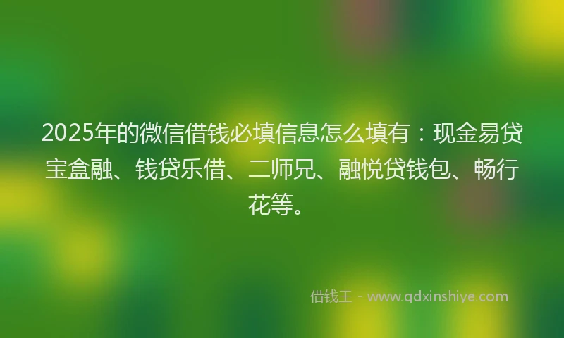2025年的微信借钱必填信息怎么填有：现金易贷宝盒融、钱贷乐借、二师兄、融悦贷钱包、畅行花等。