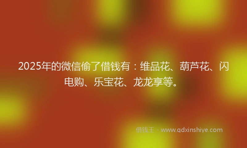 2025年的微信偷了借钱有：维品花、葫芦花、闪电购、乐宝花、龙龙享等。