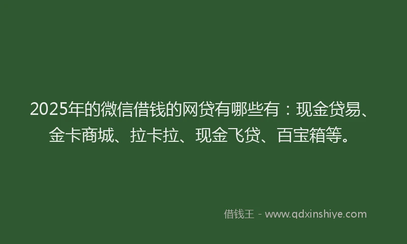 2025年的微信借钱的网贷有哪些有：现金贷易、金卡商城、拉卡拉、现金飞贷、百宝箱等。