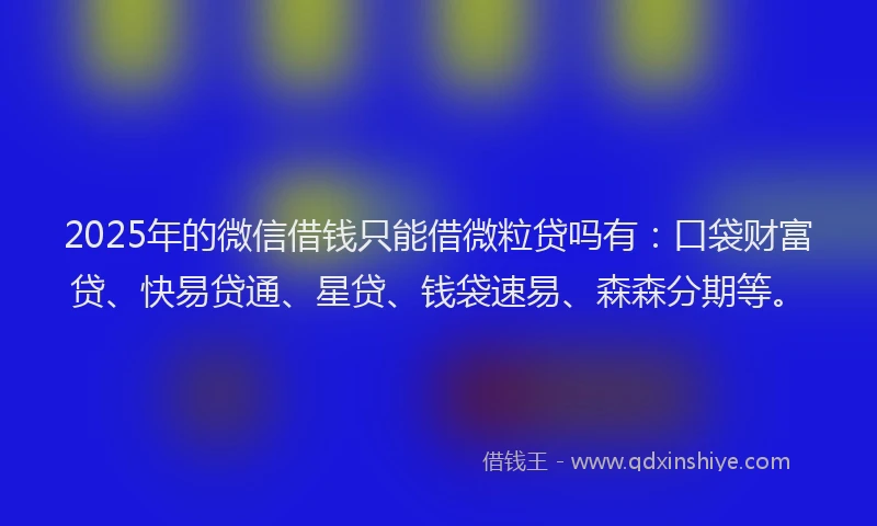 2025年的微信借钱只能借微粒贷吗有：口袋财富贷、快易贷通、星贷、钱袋速易、森森分期等。
