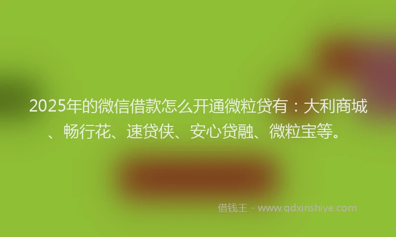 2025年的微信借款怎么开通微粒贷有：大利商城、畅行花、速贷侠、安心贷融、微粒宝等。