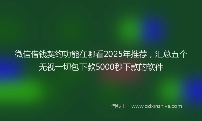 微信借钱契约功能在哪看2025年推荐，汇总五个无视一切包下款5000秒下款的软件