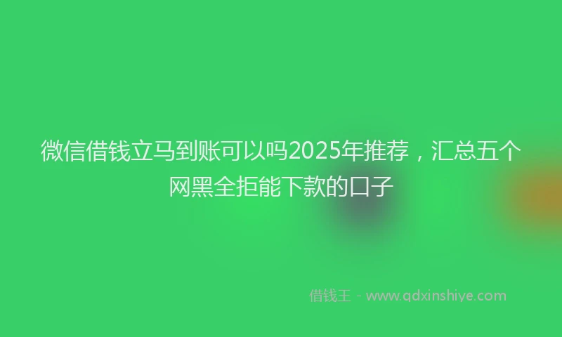 微信借钱立马到账可以吗2025年推荐，汇总五个网黑全拒能下款的口子
