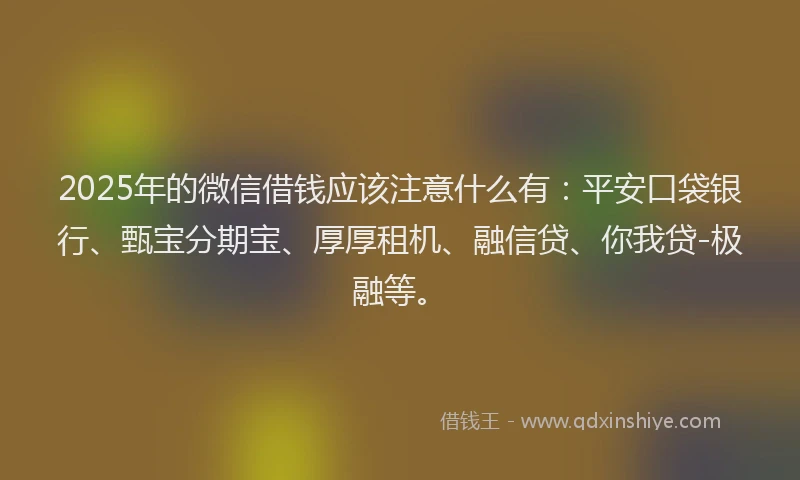 2025年的微信借钱应该注意什么有：平安口袋银行、甄宝分期宝、厚厚租机、融信贷、你我贷-极融等。