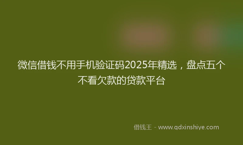 微信借钱不用手机验证码2025年精选，盘点五个不看欠款的贷款平台