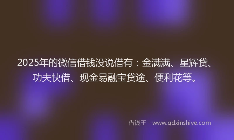 2025年的微信借钱没说借有：金满满、星辉贷、功夫快借、现金易融宝贷途、便利花等。