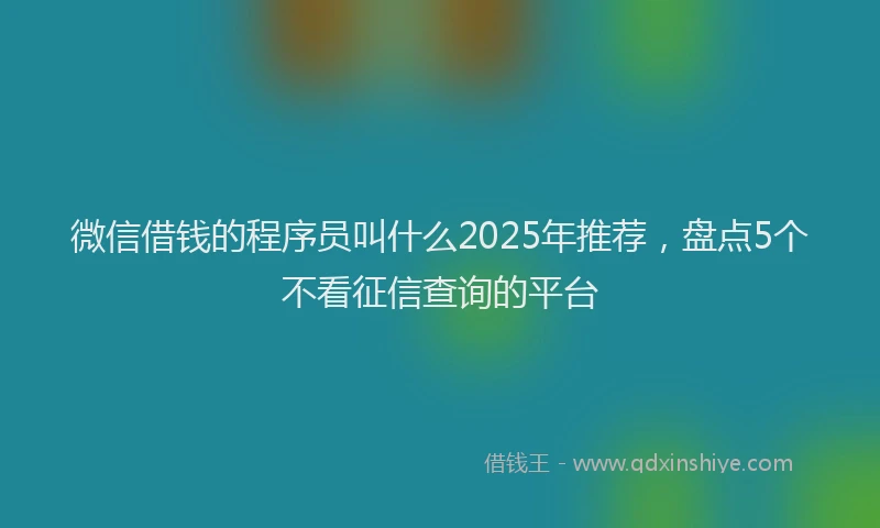 微信借钱的程序员叫什么2025年推荐，盘点5个不看征信查询的平台