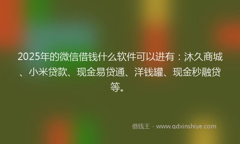 2025年的微信借钱什么软件可以进有：沐久商城、小米贷款、现金易贷通、洋钱罐、现金秒融贷等。