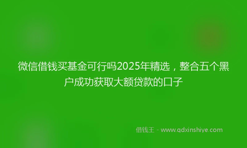 微信借钱买基金可行吗2025年精选，整合五个黑户成功获取大额贷款的口子