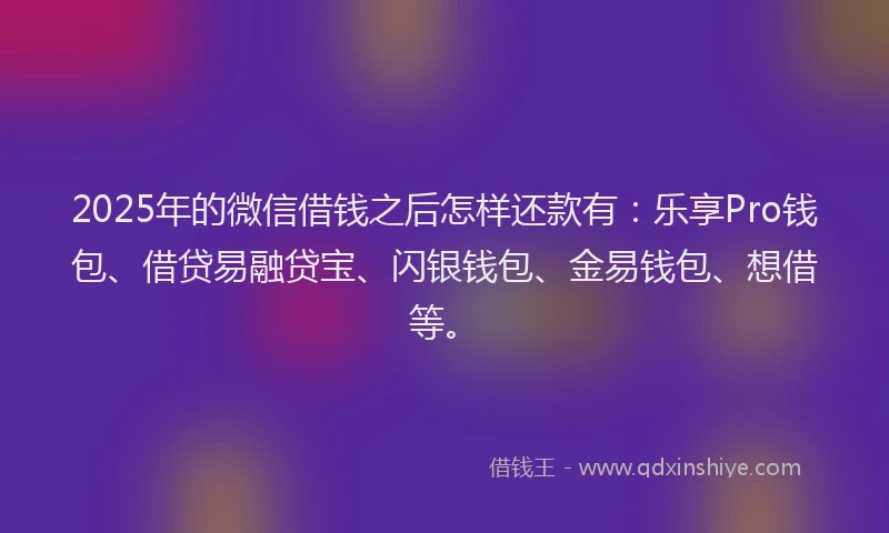 2025年的微信借钱之后怎样还款有：乐享Pro钱包、借贷易融贷宝、闪银钱包、金易钱包、想借等。