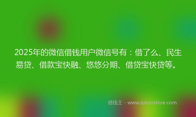 2025年的微信借钱用户微信号有：借了么、民生易贷、借款宝快融、悠悠分期、借贷宝快贷等。