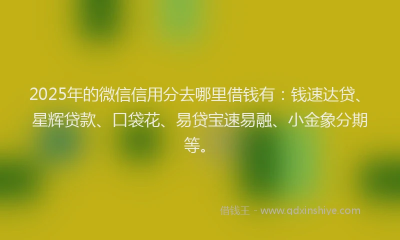 2025年的微信信用分去哪里借钱有：钱速达贷、星辉贷款、口袋花、易贷宝速易融、小金象分期等。