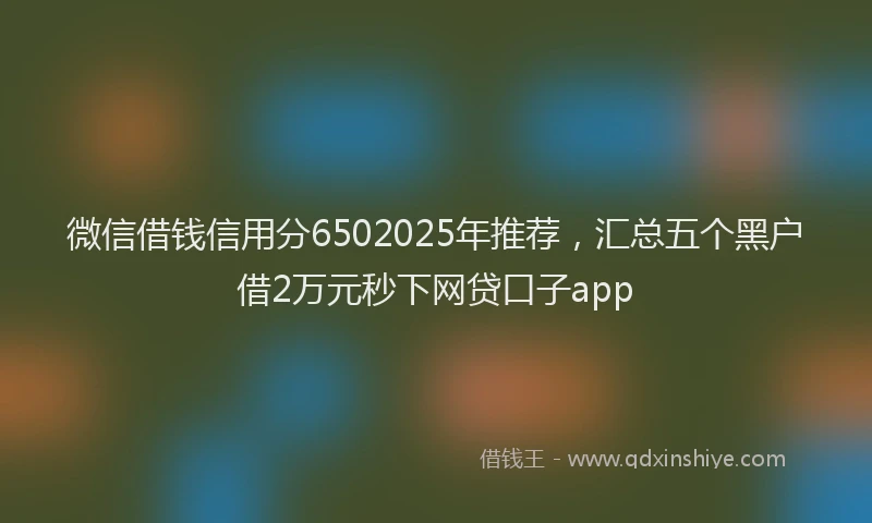 微信借钱信用分6502025年推荐，汇总五个黑户借2万元秒下网贷口子app