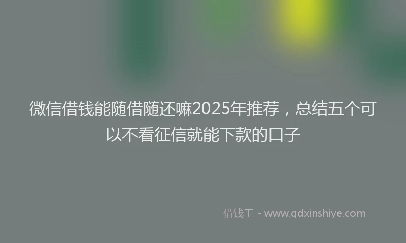 微信借钱能随借随还嘛2025年推荐，总结五个可以不看征信就能下款的口子