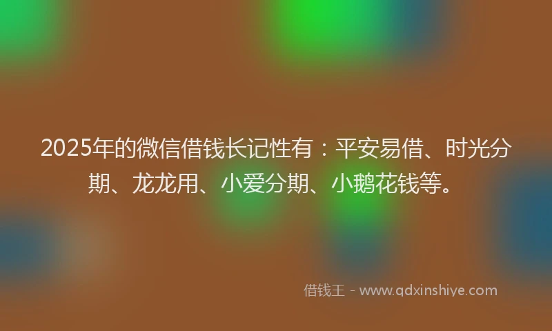 2025年的微信借钱长记性有：平安易借、时光分期、龙龙用、小爱分期、小鹅花钱等。
