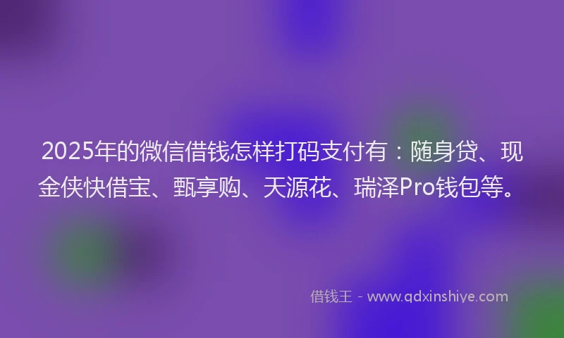 2025年的微信借钱怎样打码支付有：随身贷、现金侠快借宝、甄享购、天源花、瑞泽Pro钱包等。