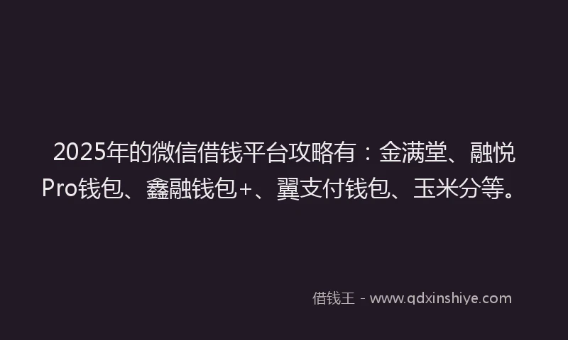 2025年的微信借钱平台攻略有：金满堂、融悦Pro钱包、鑫融钱包+、翼支付钱包、玉米分等。