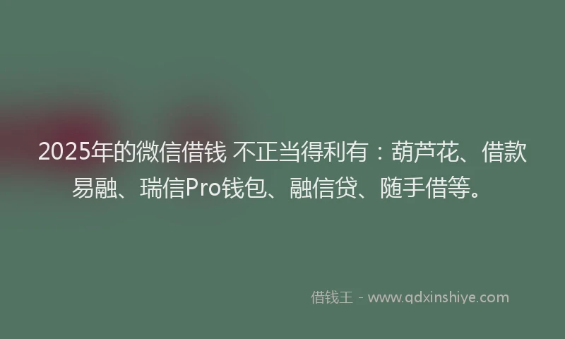 2025年的微信借钱 不正当得利有：葫芦花、借款易融、瑞信Pro钱包、融信贷、随手借等。