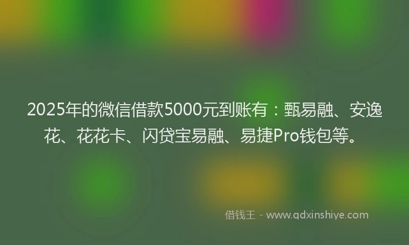 2025年的微信借款5000元到账有：甄易融、安逸花、花花卡、闪贷宝易融、易捷Pro钱包等。