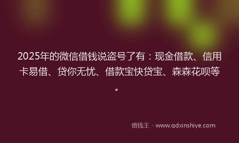 2025年的微信借钱说盗号了有：现金借款、信用卡易借、贷你无忧、借款宝快贷宝、森森花呗等。