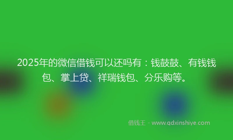 2025年的微信借钱可以还吗有：钱鼓鼓、有钱钱包、掌上贷、祥瑞钱包、分乐购等。