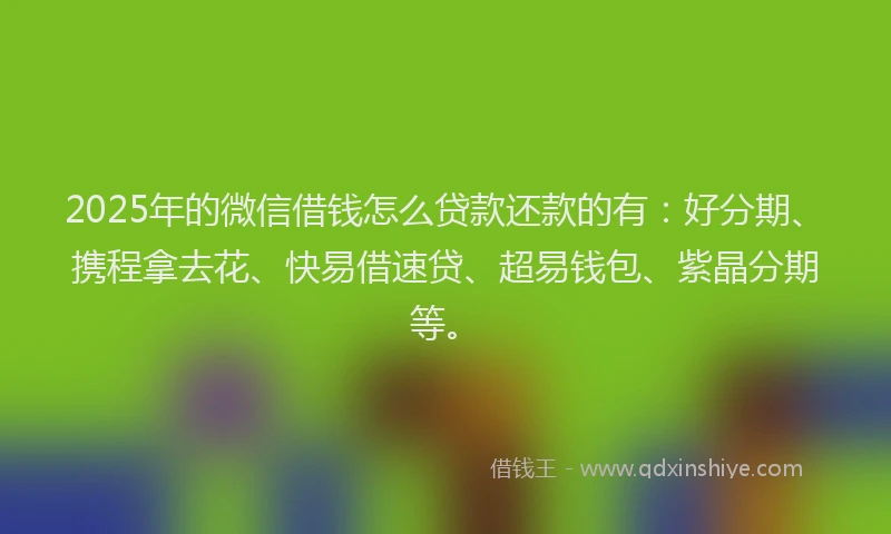 2025年的微信借钱怎么贷款还款的有：好分期、携程拿去花、快易借速贷、超易钱包、紫晶分期等。