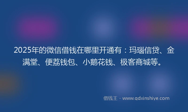 2025年的微信借钱在哪里开通有：玛瑙信贷、金满堂、便荔钱包、小鹅花钱、极客商城等。