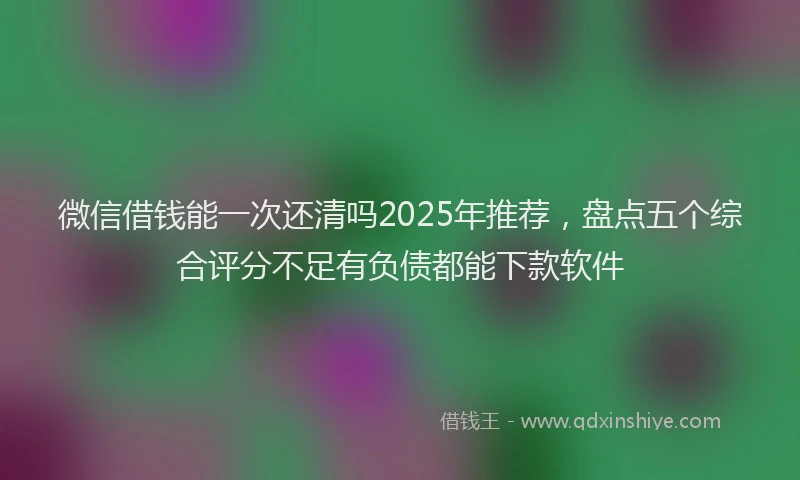 微信借钱能一次还清吗2025年推荐，盘点五个综合评分不足有负债都能下款软件
