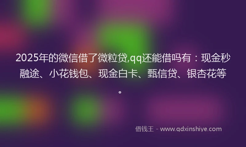 2025年的微信借了微粒贷,qq还能借吗有：现金秒融途、小花钱包、现金白卡、甄信贷、银杏花等。